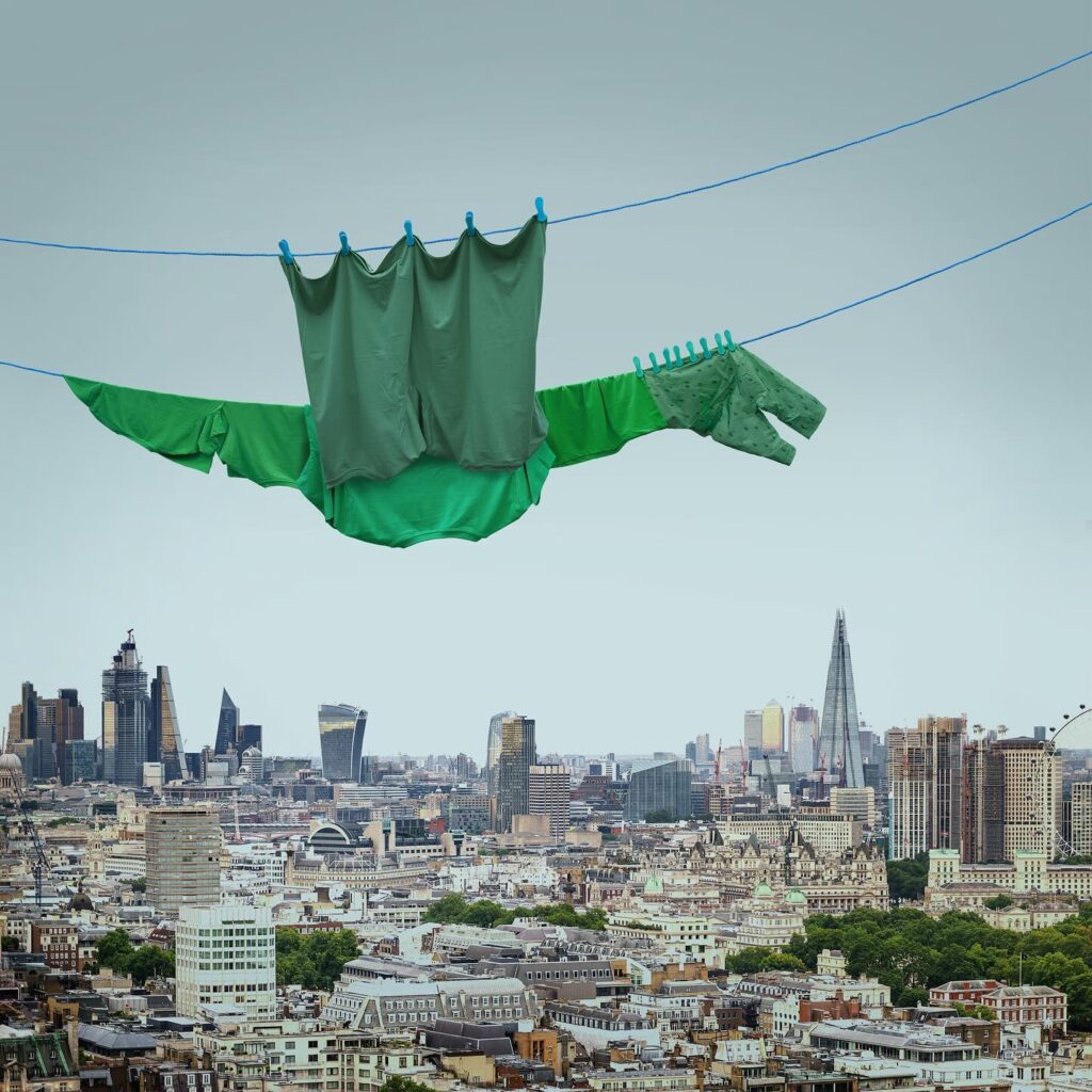 Enchanting Clothesline Animal Portraits by Helga Stentzel - WOWPARROT