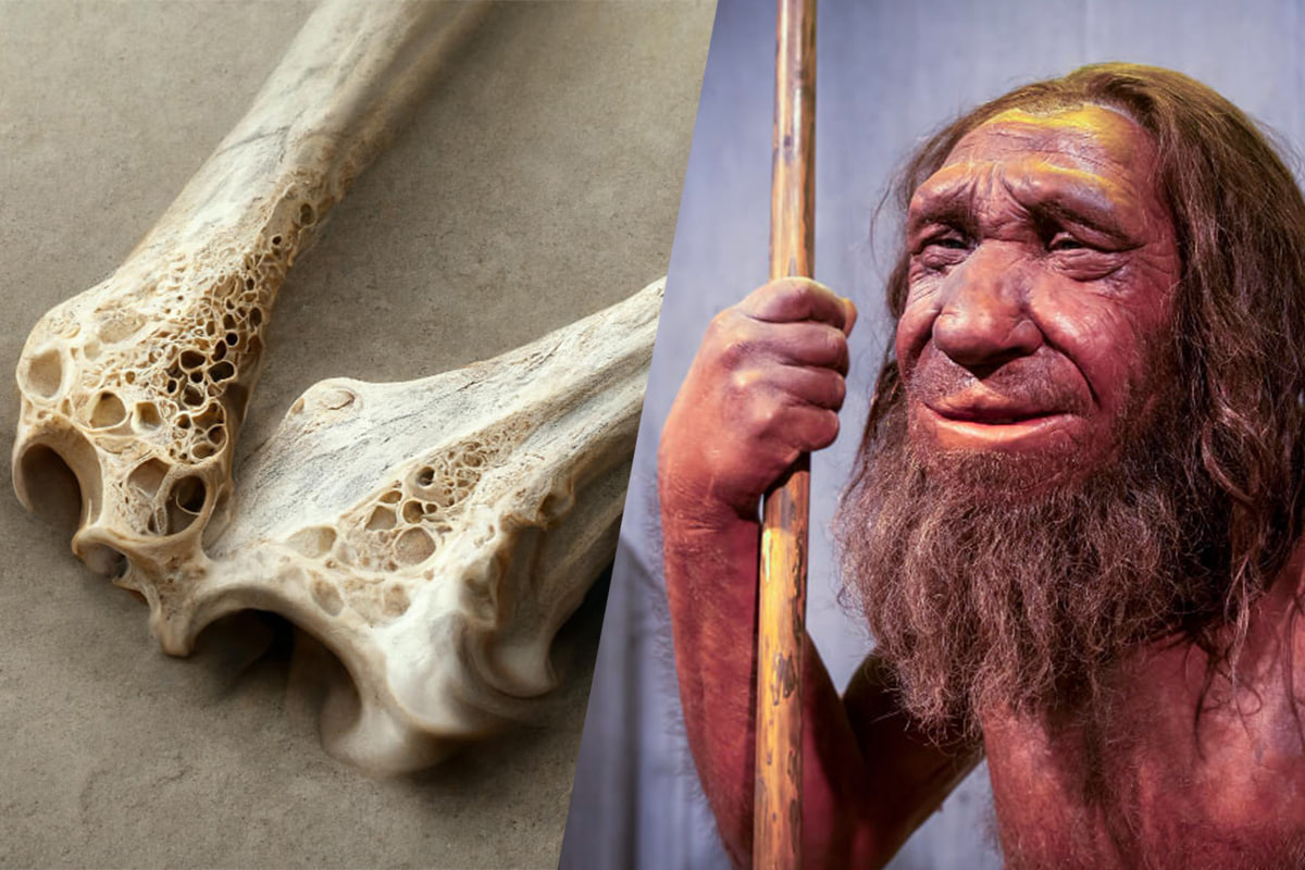 Unearth the ancient secrets! Oldest human viruses discovered in 50,000-year-old Neanderthal bones found from chagyrskaya cave. Dive into history's viral mysteries now