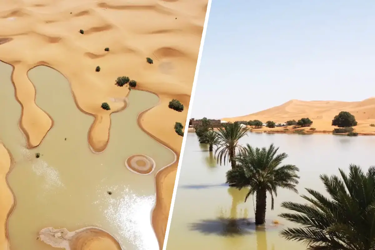 Discover the incredible Sahara flood that filled a lake dry for 50 years