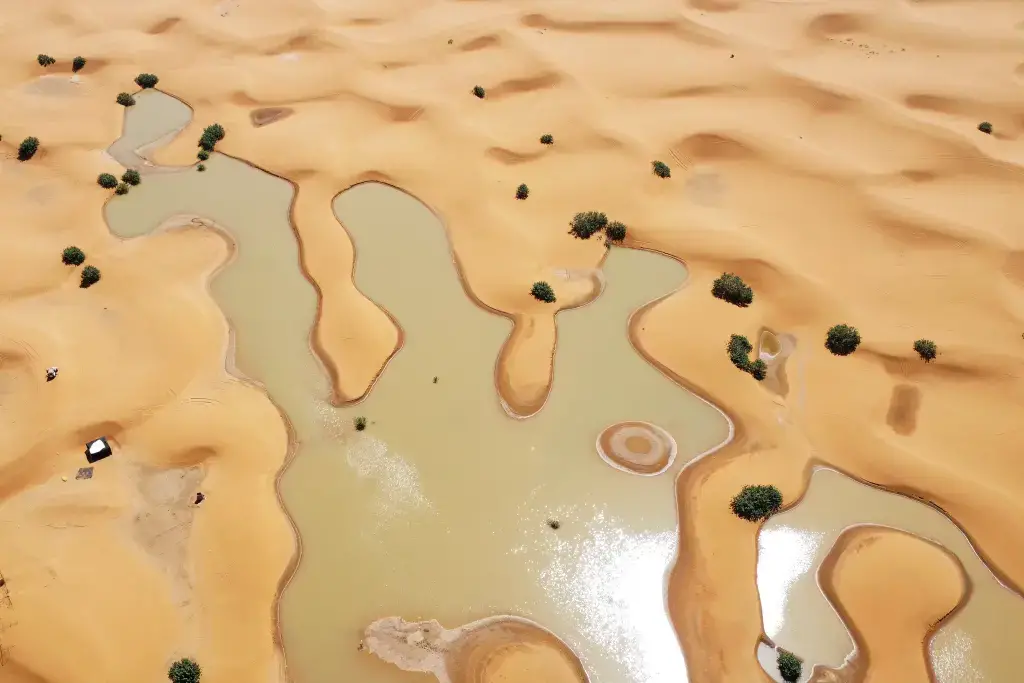 Discover the incredible Sahara flood that filled a lake dry for 50 years