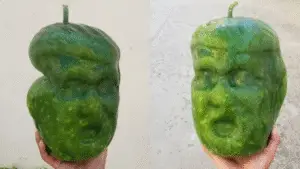 From Buddha to Trump: Chinese Company Shapes Fruits and Veggies into Novelty Forms