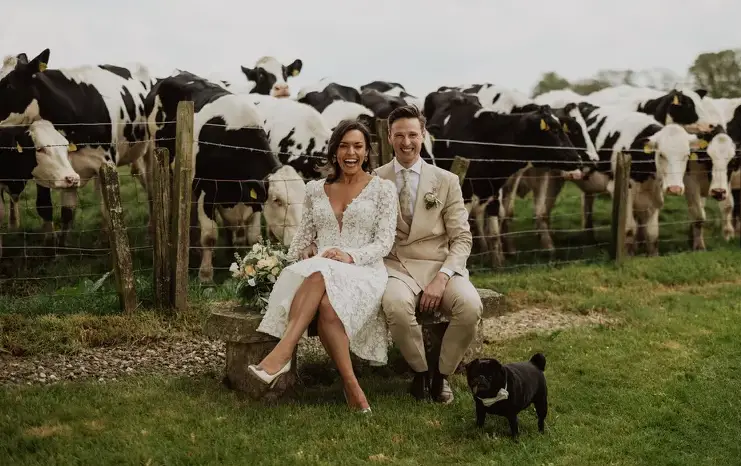 Herd of Cattle Crashes a wedding Ceremony in Scotland