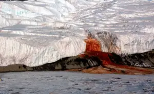 Blood Waterfall of Antarctica: Nature’s Most Mysterious Phenomenon